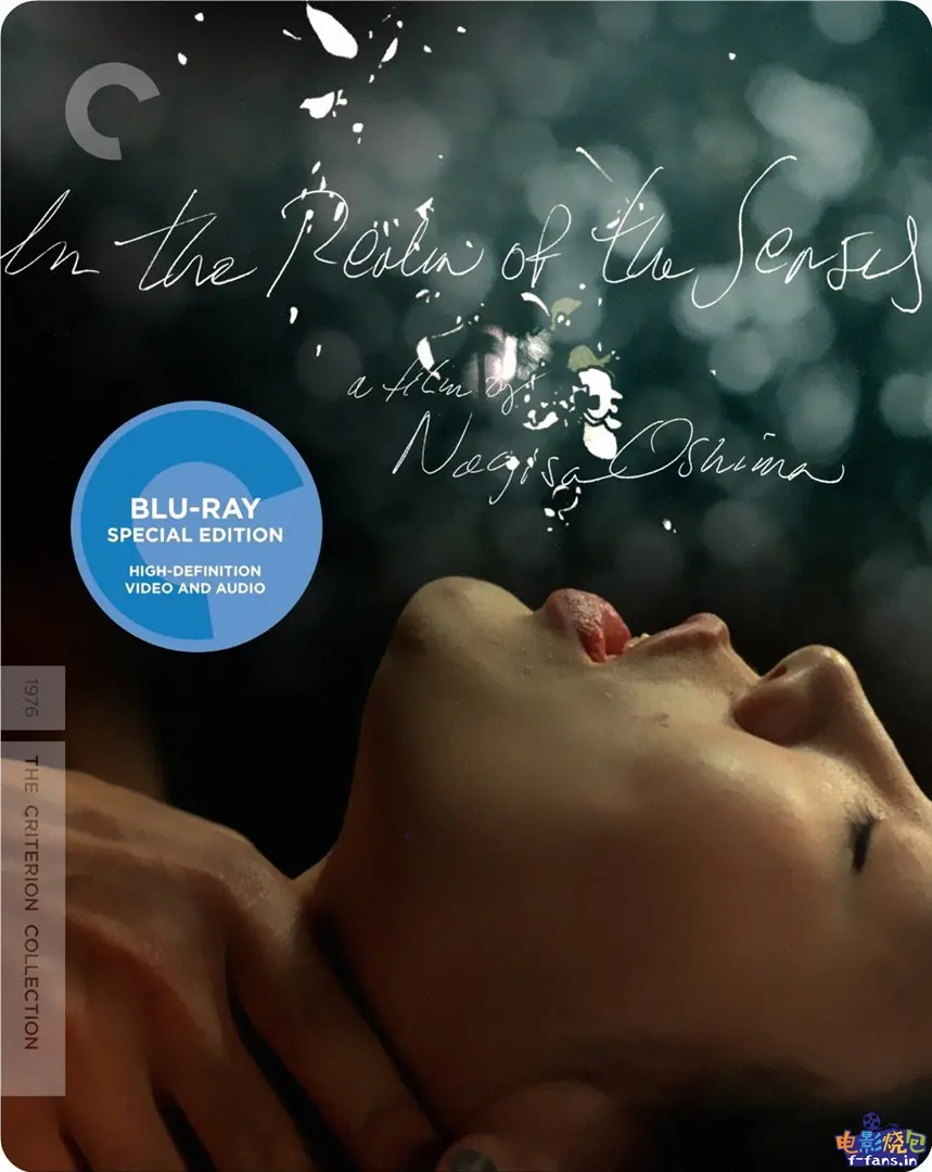 《感官世界》：爱欲纠缠，挑战伦理底线？揭秘禁忌之恋背后的欲望与毁灭！