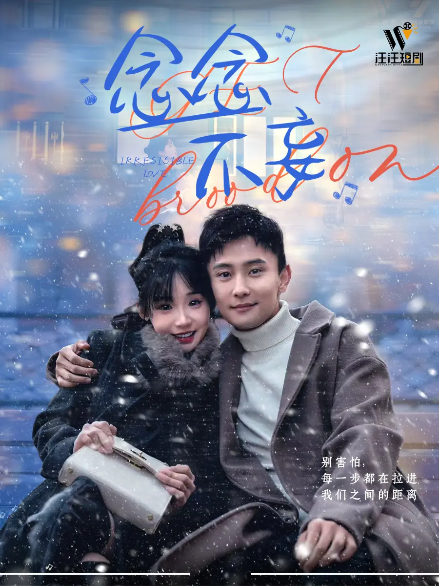 《念念不忘》：都市情感的治愈系低语，一份关于爱与救赎的温暖告白！